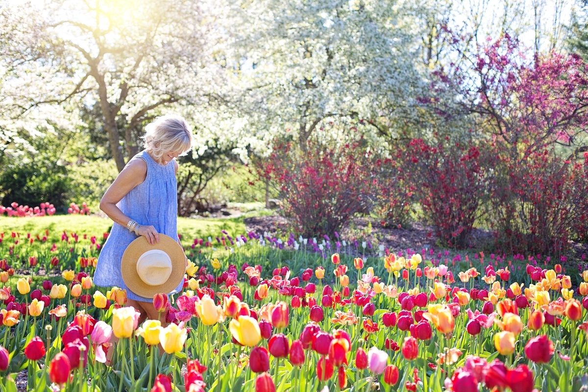 f:id:GardeningTips101:20191214152208j:plain f:id:GardeningTips101:20191214152208j:plain
