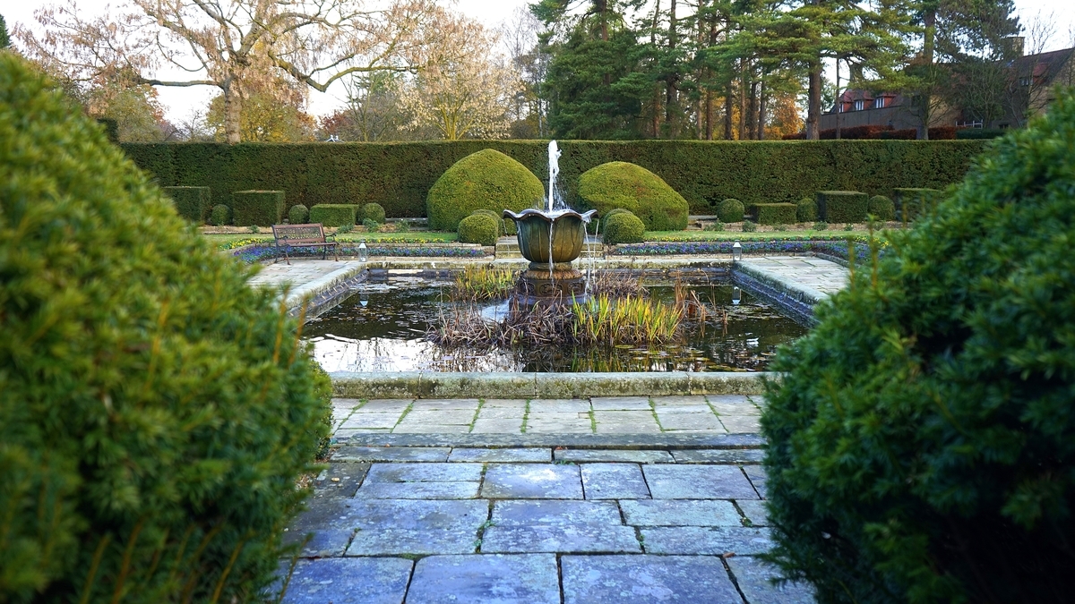 f:id:GardeningTips101:20191214152402j:plain f:id:GardeningTips101:20191214152402j:plain