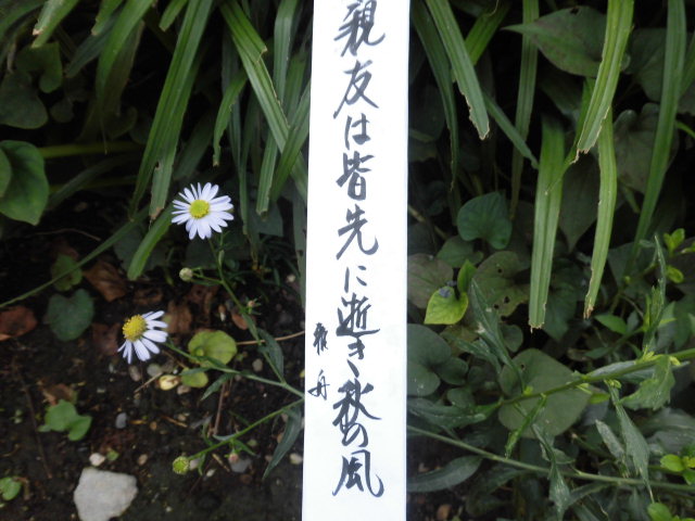 イメージ 3