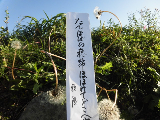 イメージ 4