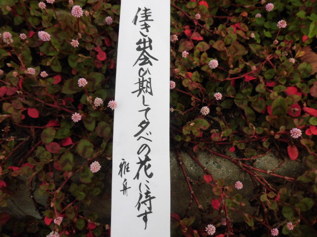 イメージ 5