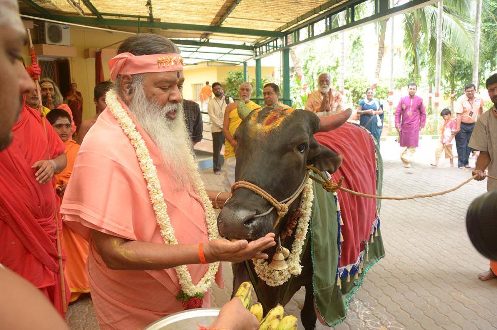 f:id:GauMata:20211007203653j:plain