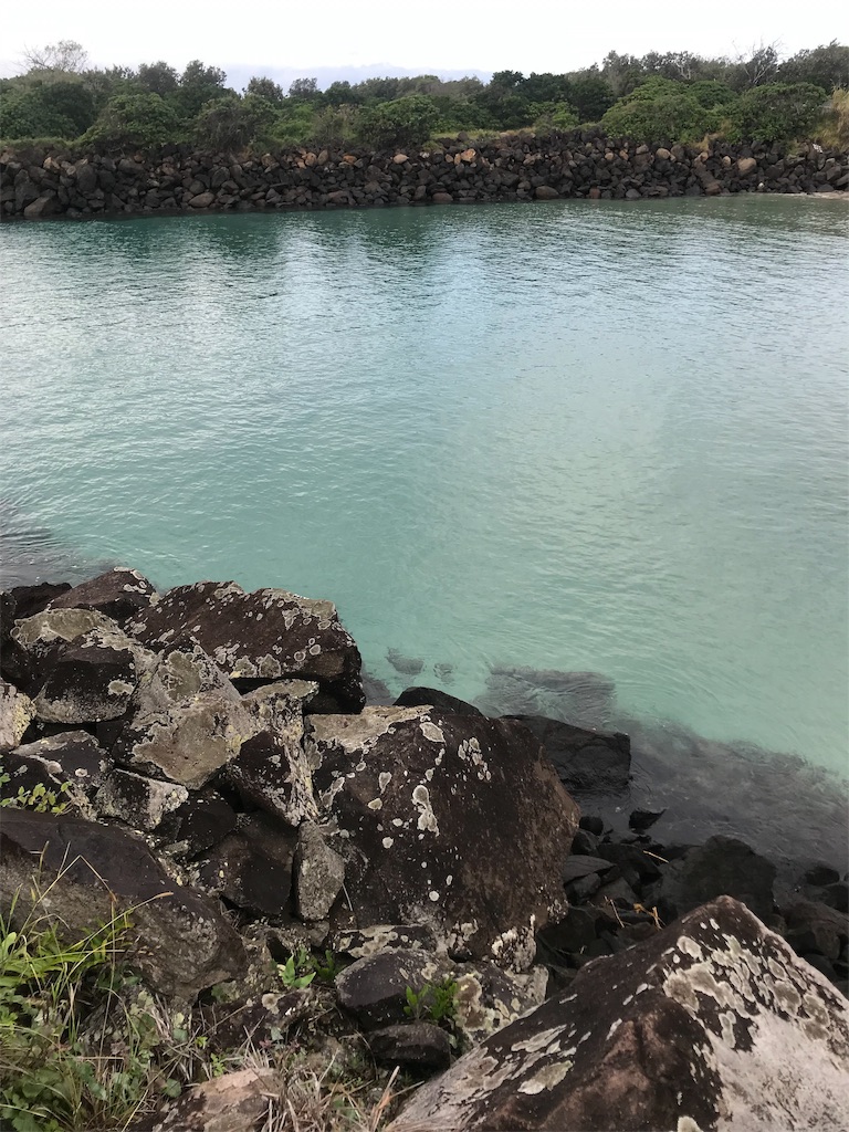 f:id:Gaucamole:20190707081104j:image