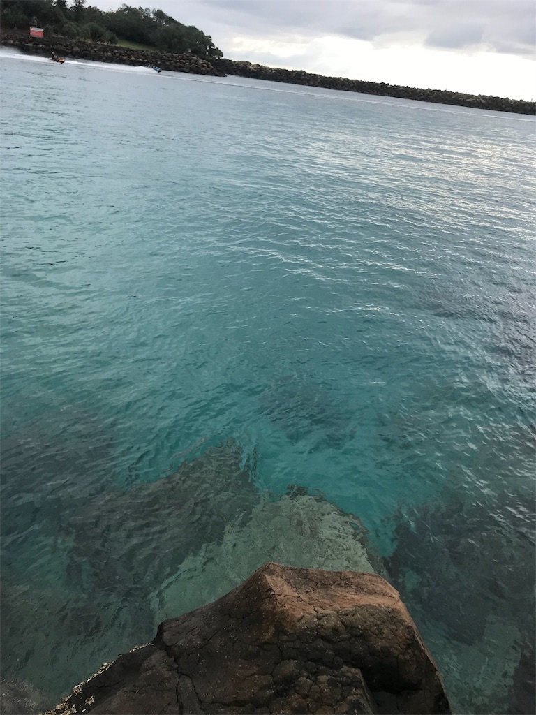 f:id:Gaucamole:20190707081110j:image