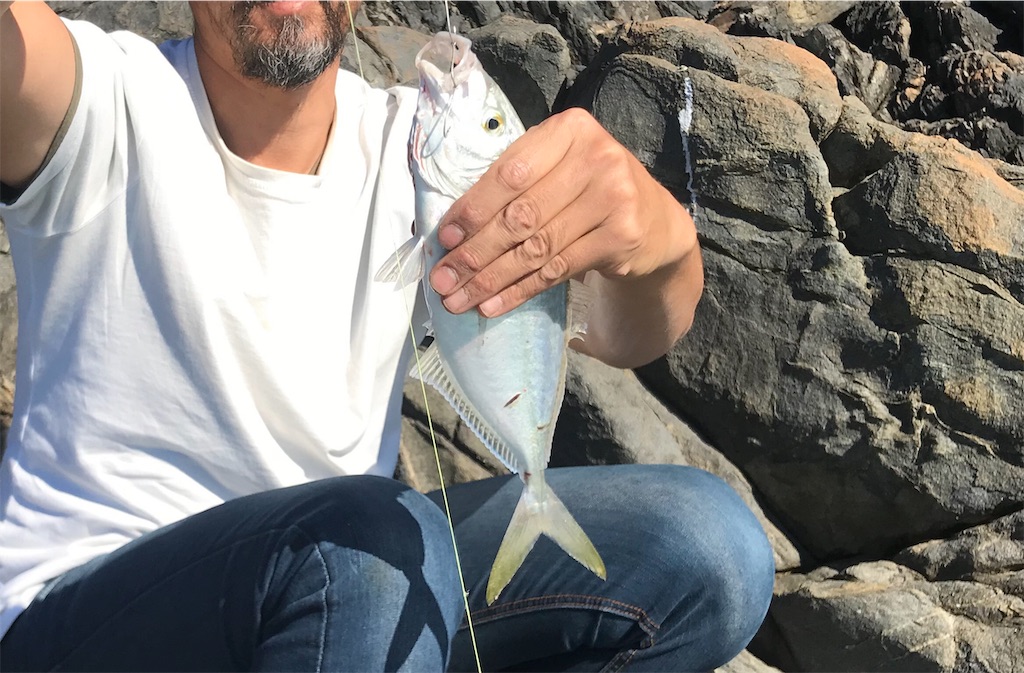 f:id:Gaucamole:20190721170408j:image