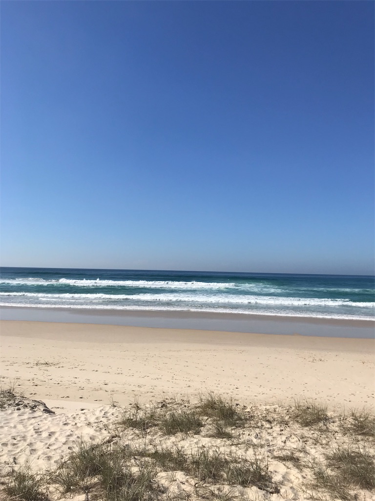 f:id:Gaucamole:20190727143040j:image