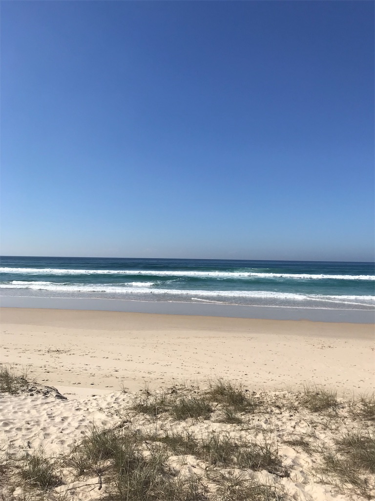 f:id:Gaucamole:20190727143047j:image