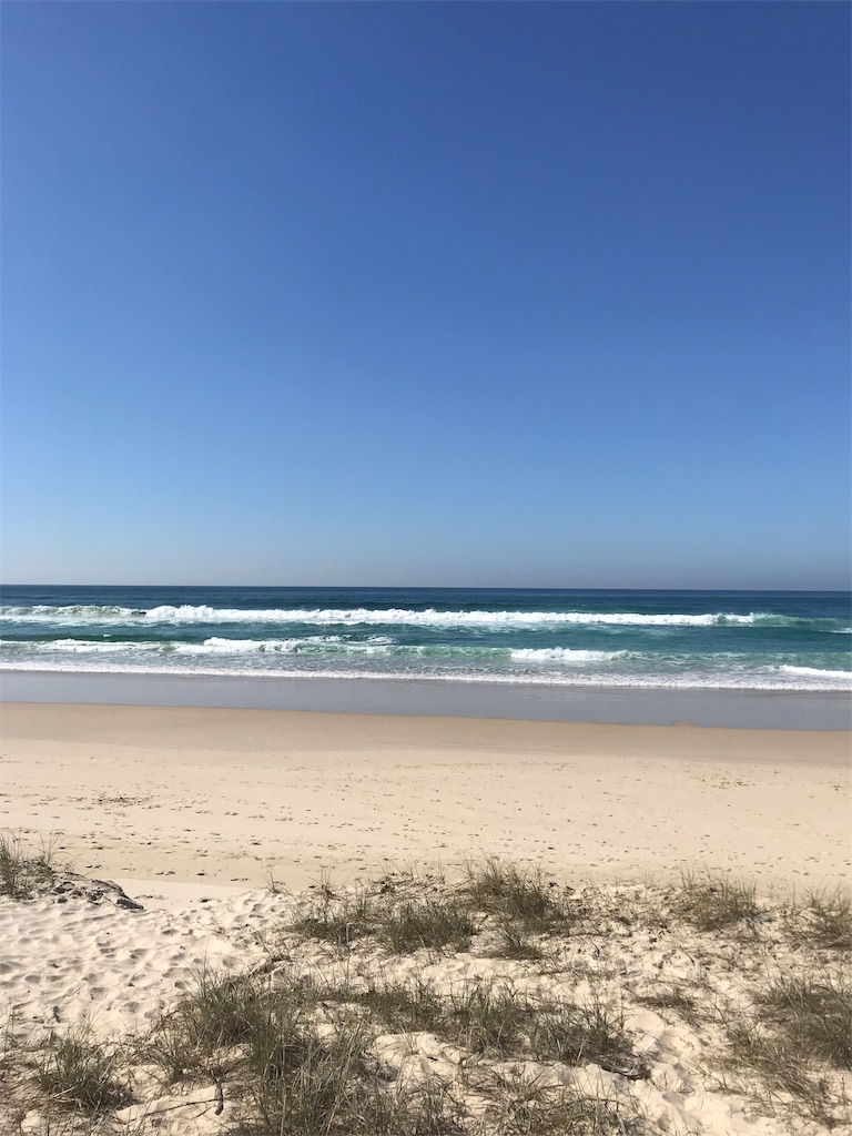 f:id:Gaucamole:20190727143104j:image