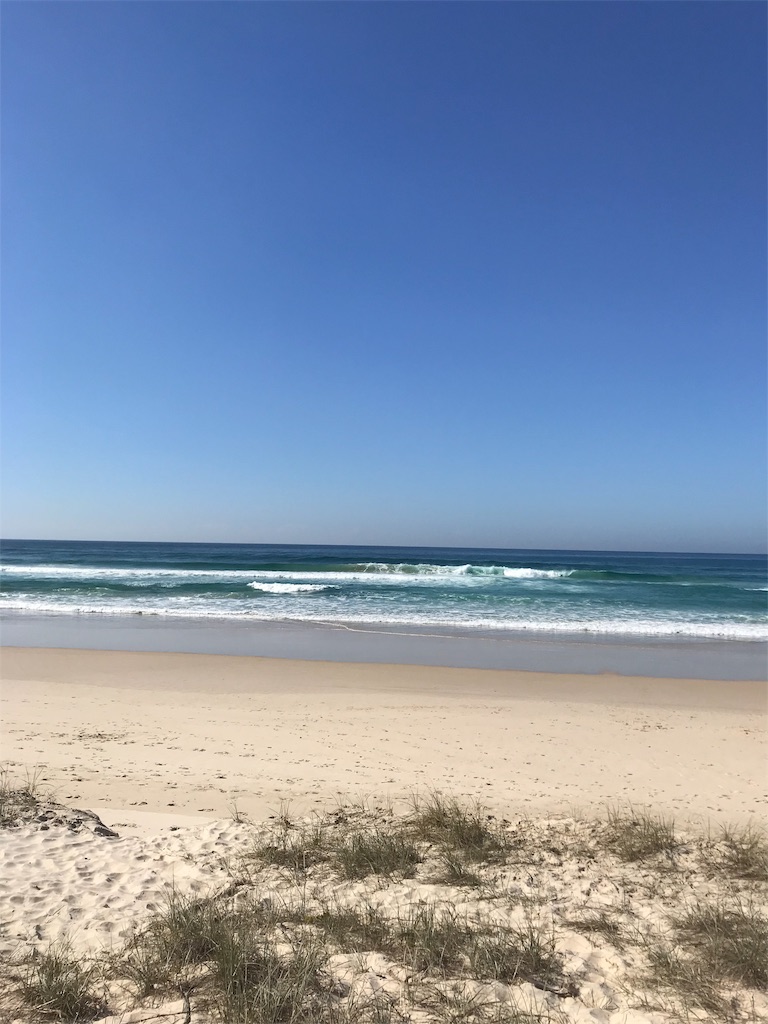 f:id:Gaucamole:20190727143110j:image