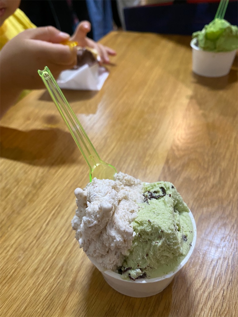 f:id:Geheimagent:20210501152903j:image f:id:Geheimagent:20210501152903j:image