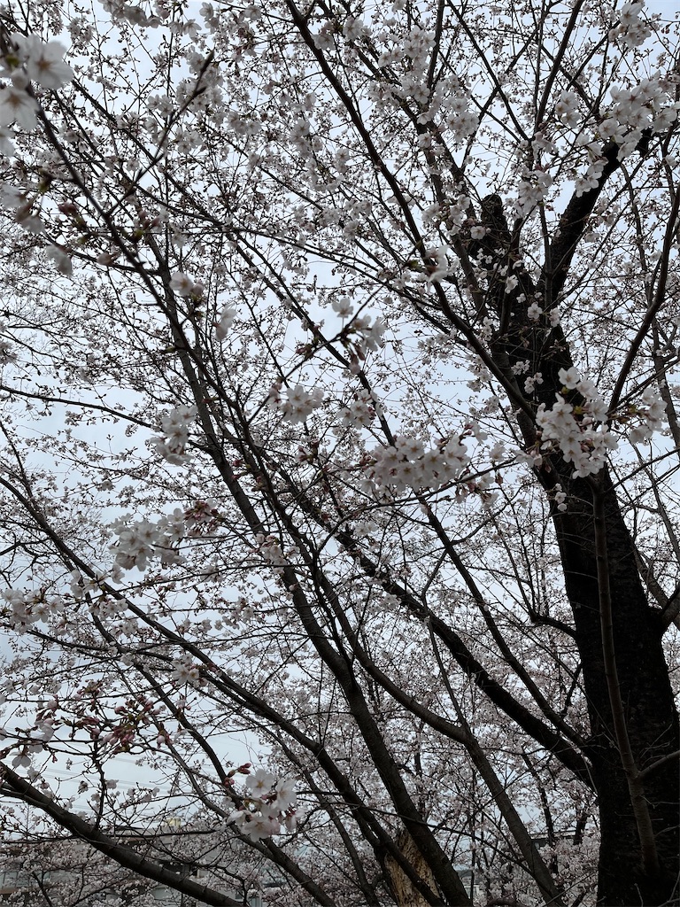 f:id:Geheimagent:20230321114826j:image