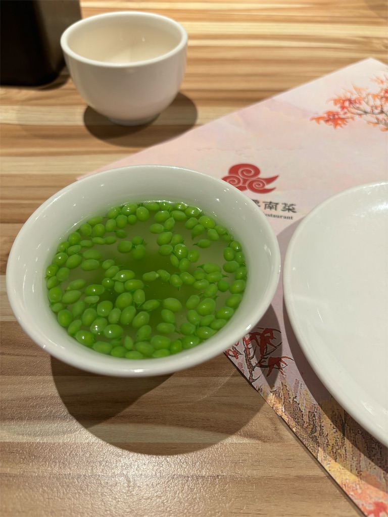 f:id:Geheimagent:20240320202622j:image