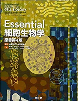 f:id:Gene-X:20201107160551j:plain