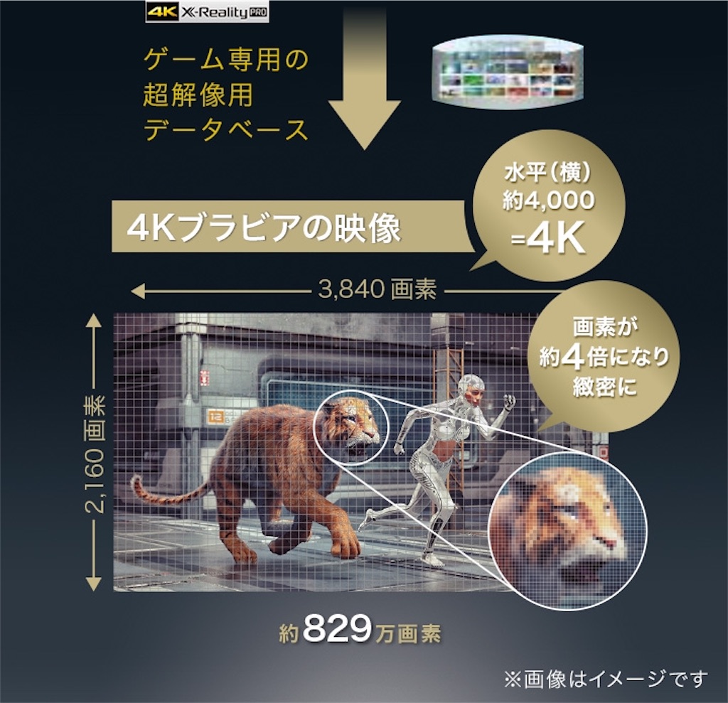 f:id:GenesisPlanA:20191009162245j:image
