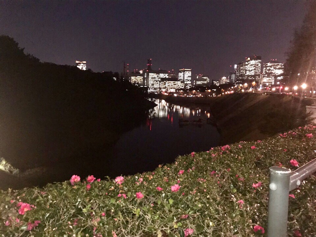 f:id:Genmai_17:20191225195838j:image