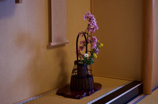 f:id:Genmai_17:20200220064412j:plain