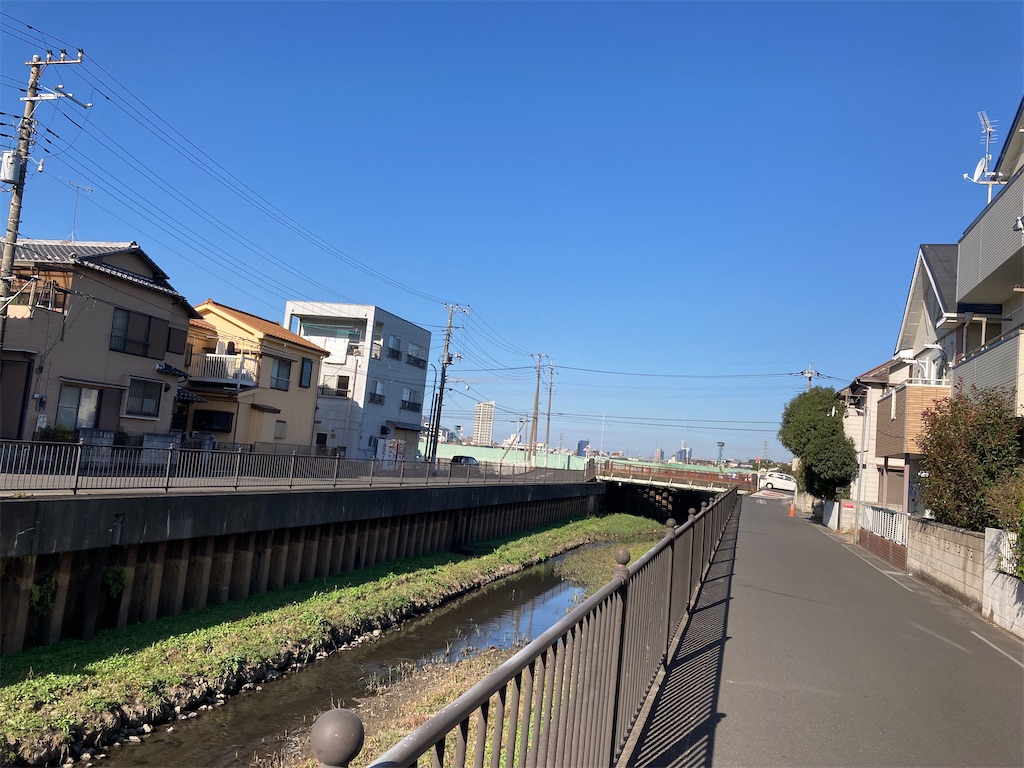 f:id:Genmai_17:20201122152127j:image