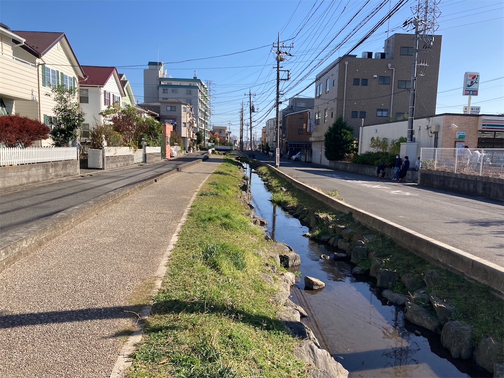 f:id:Genmai_17:20201122152703j:image