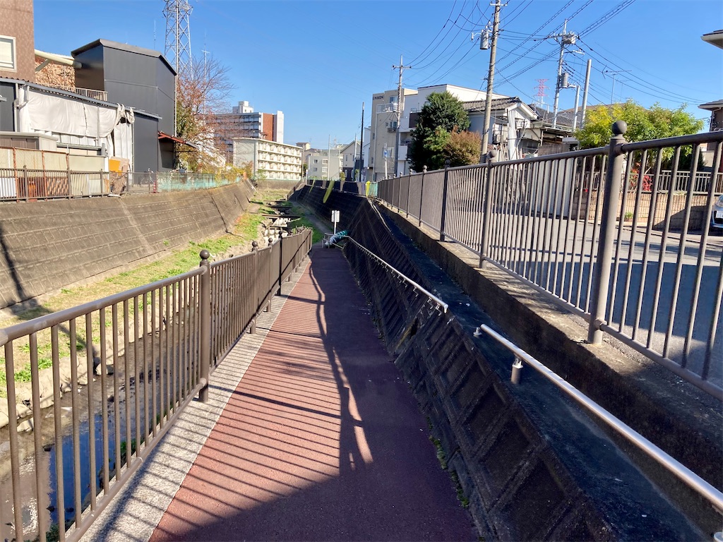 f:id:Genmai_17:20201122152859j:image