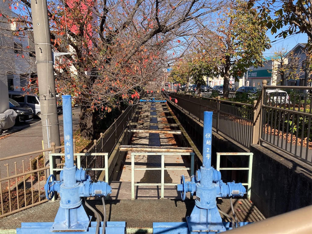 f:id:Genmai_17:20201122153036j:image