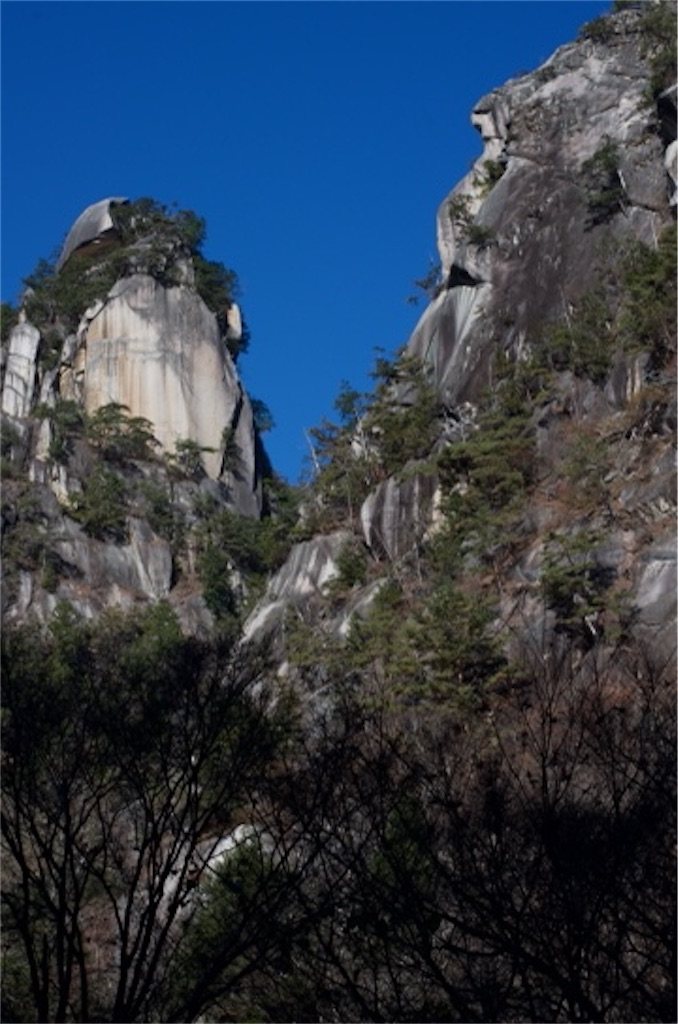 f:id:Genmai_17:20201125170003j:image