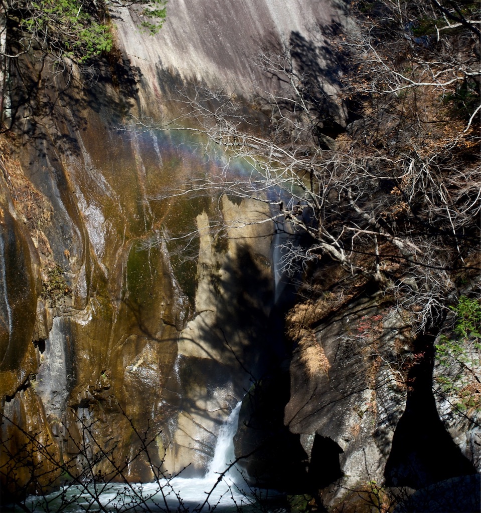 f:id:Genmai_17:20201125175347j:image