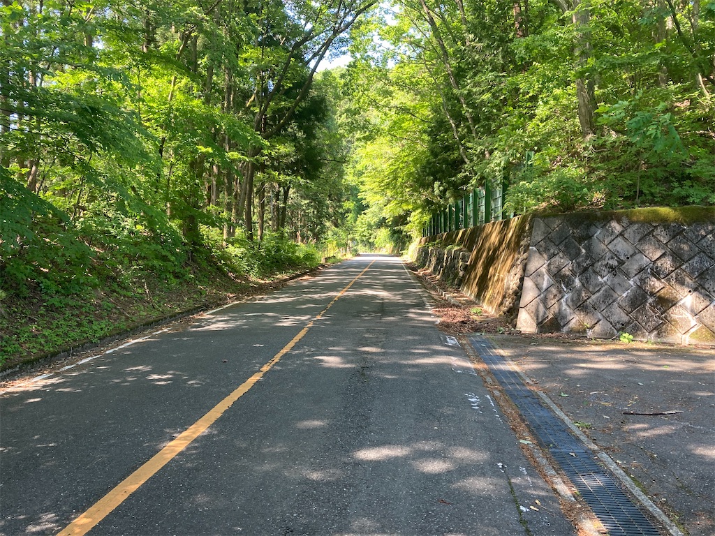 f:id:Genmai_17:20220604203620j:image f:id:Genmai_17:20220604203620j:image