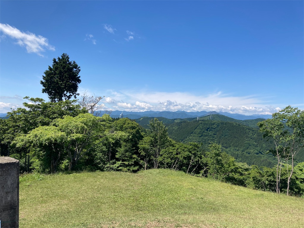 f:id:Genmai_17:20220604203740j:image f:id:Genmai_17:20220604203740j:image