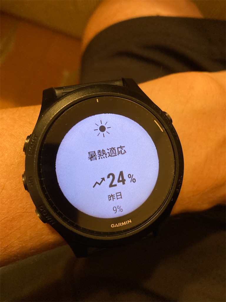 f:id:Genmai_17:20220623194109j:image