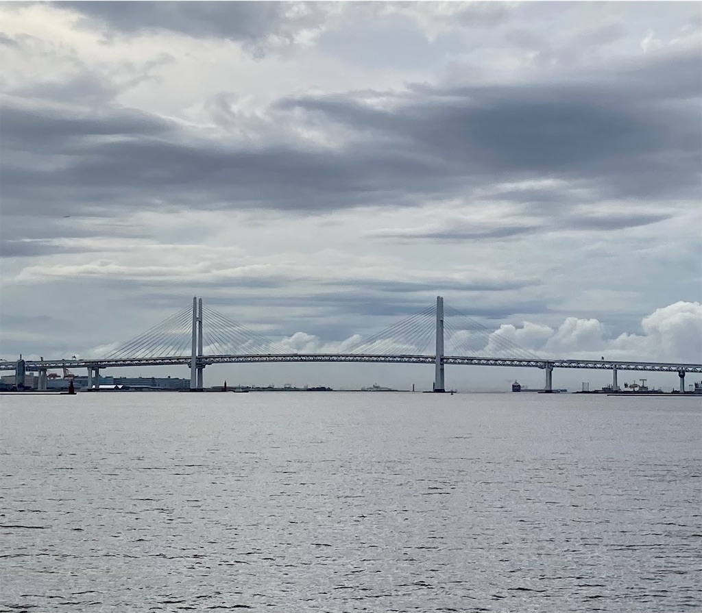 f:id:Genmai_17:20220717165743j:image f:id:Genmai_17:20220717165743j:image