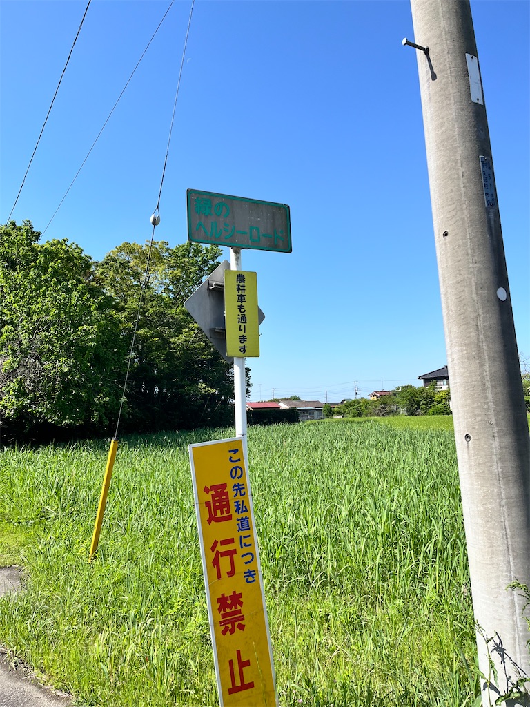 f:id:Genmai_17:20240503204024j:image f:id:Genmai_17:20240503204024j:image