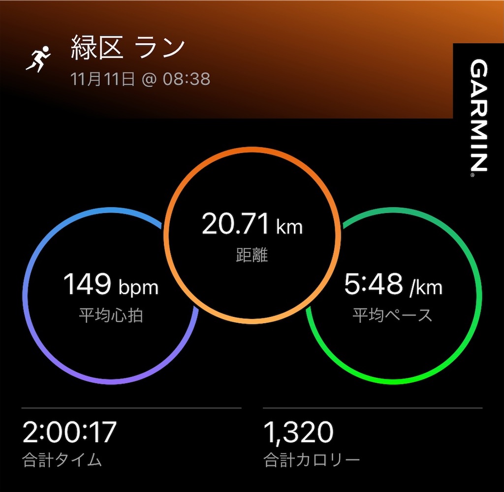 f:id:Genmai_17:20241117173545j:image