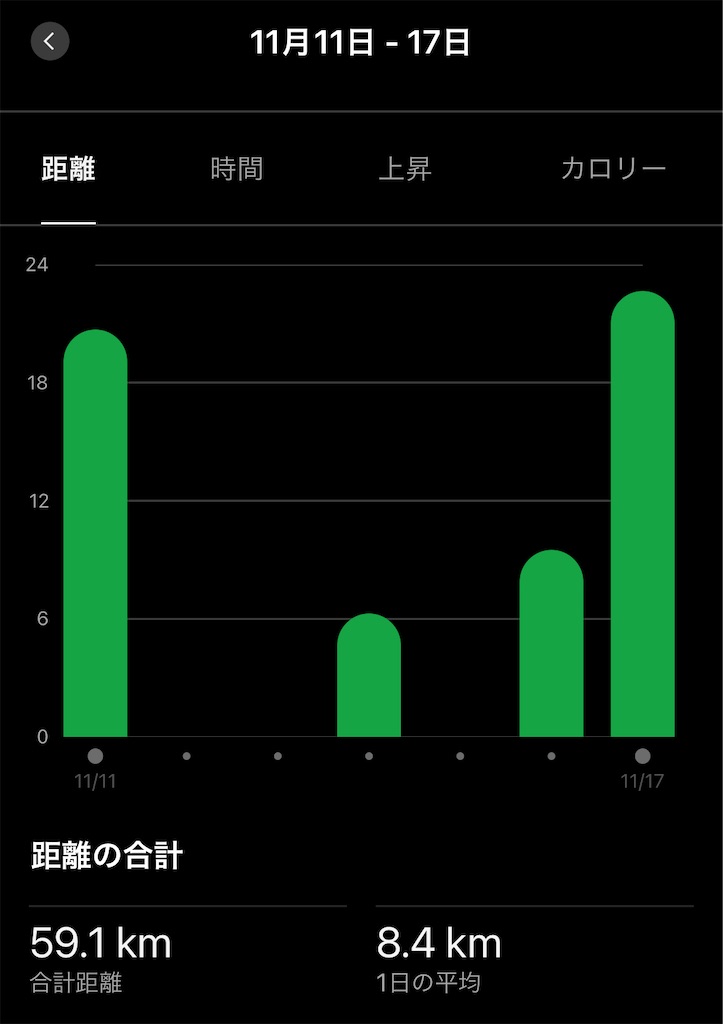 f:id:Genmai_17:20241117173703j:image