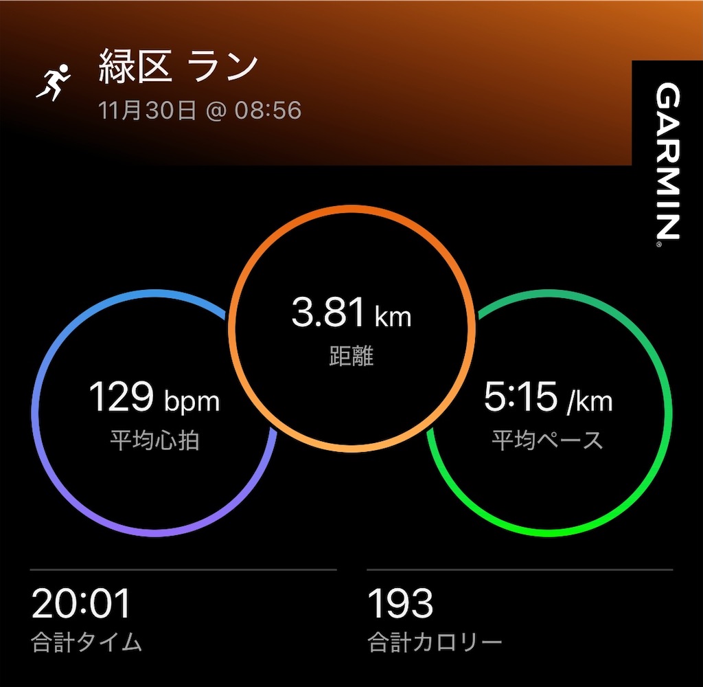 f:id:Genmai_17:20241130160940j:image