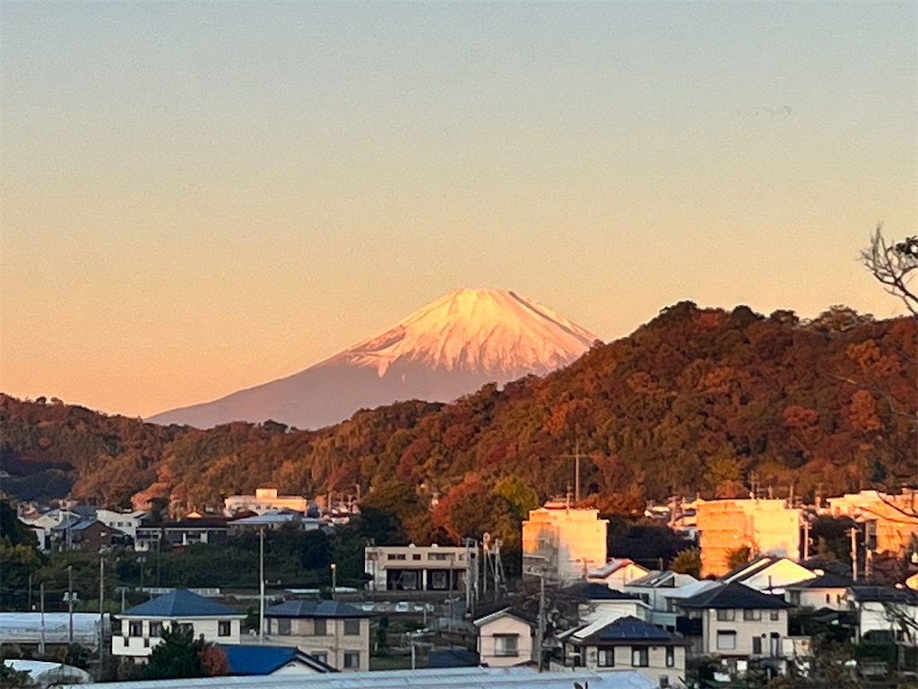 f:id:Genmai_17:20241206204606j:image