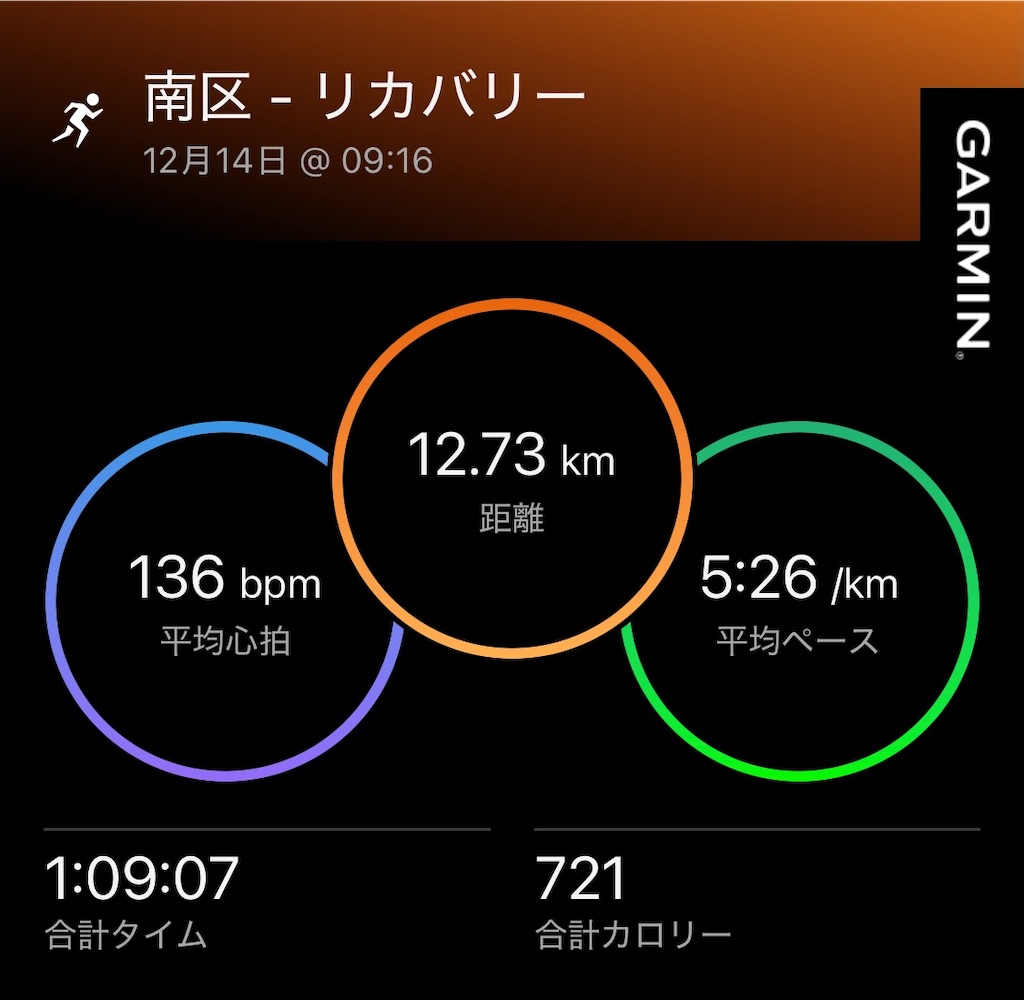 f:id:Genmai_17:20241215163344j:image