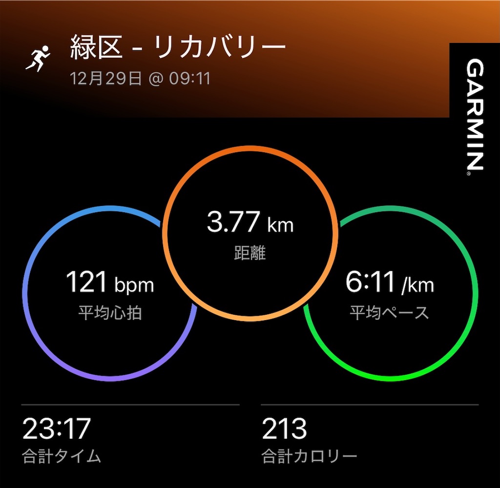 f:id:Genmai_17:20241229120952j:image