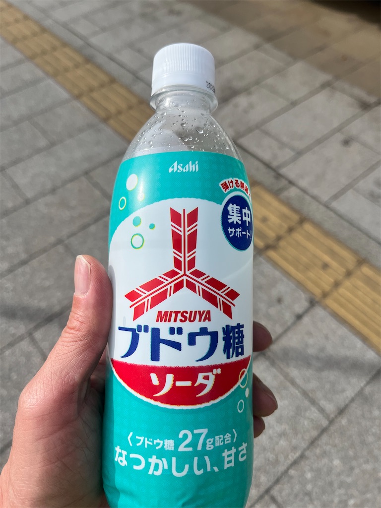 f:id:Genmai_17:20250104155326j:image
