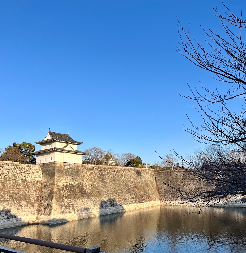 f:id:Genmai_17:20250224101917j:image