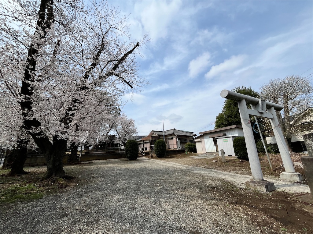 f:id:Genmai_17:20250330190359j:image