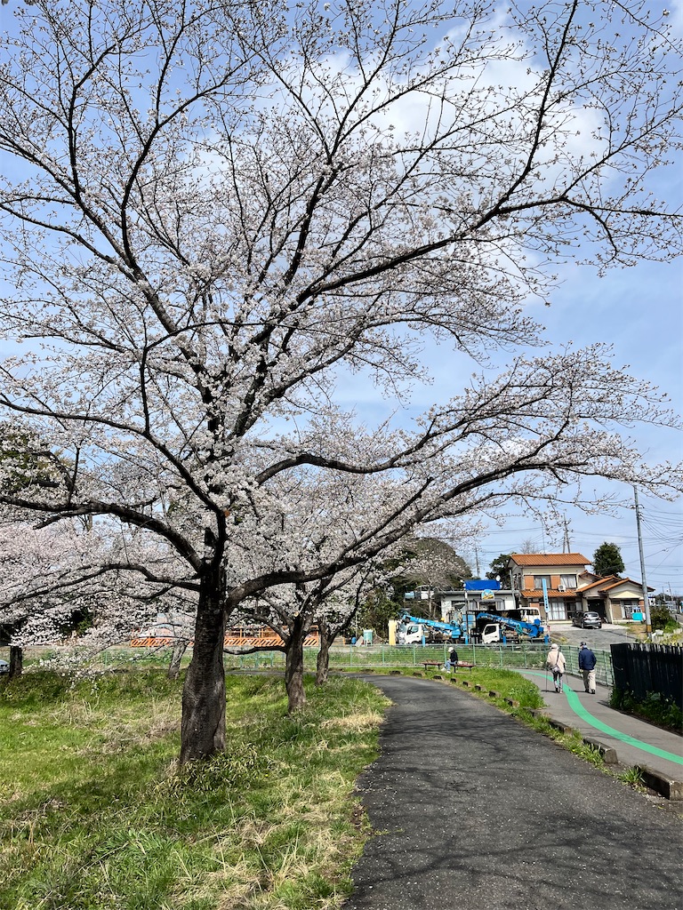f:id:Genmai_17:20250330190425j:image