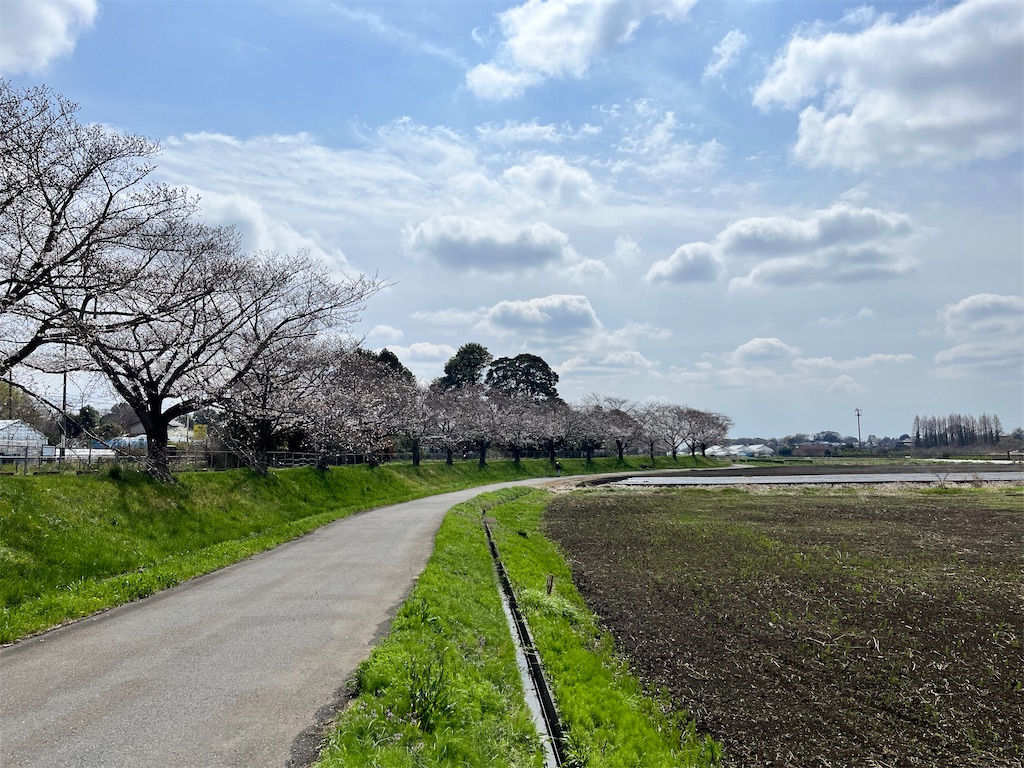 f:id:Genmai_17:20250330190442j:image
