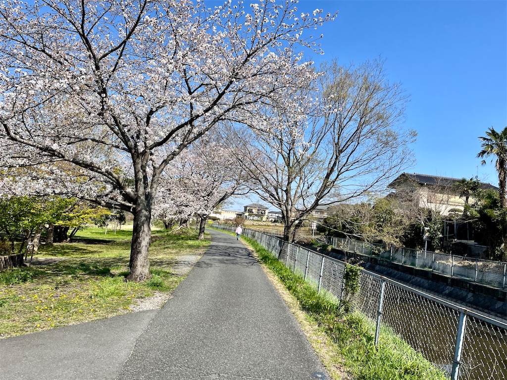 f:id:Genmai_17:20250406110225j:image