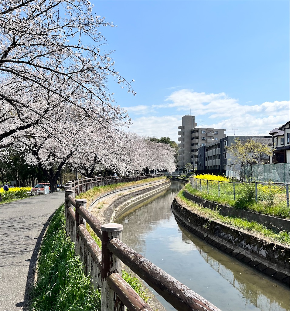 f:id:Genmai_17:20250406110232j:image