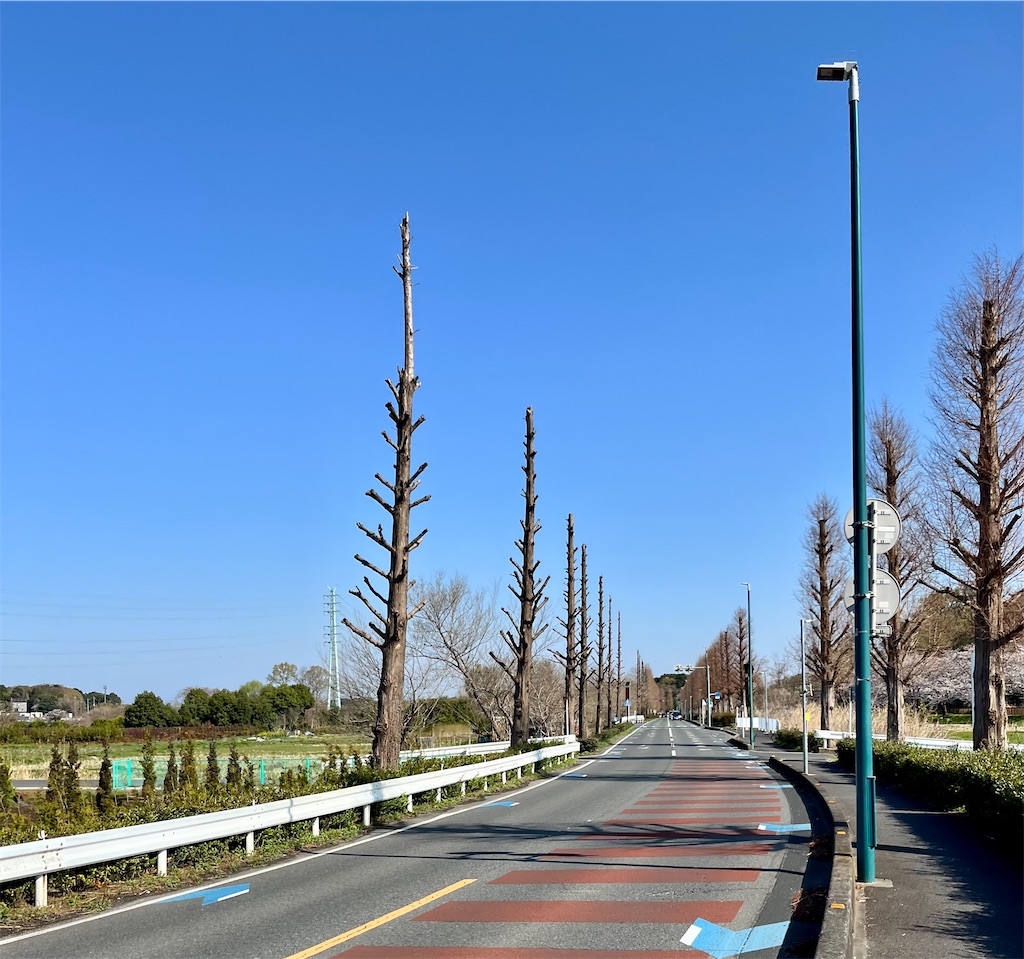 f:id:Genmai_17:20250406110313j:image