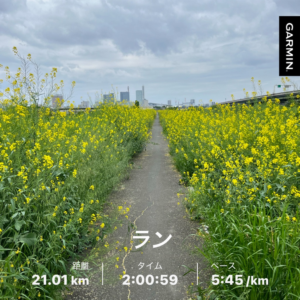 f:id:Genmai_17:20250429154528j:image