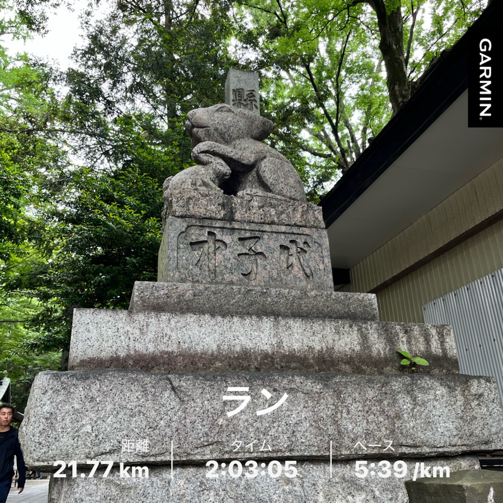 f:id:Genmai_17:20250525193401j:image