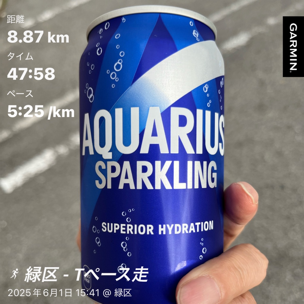 f:id:Genmai_17:20250601195554j:image