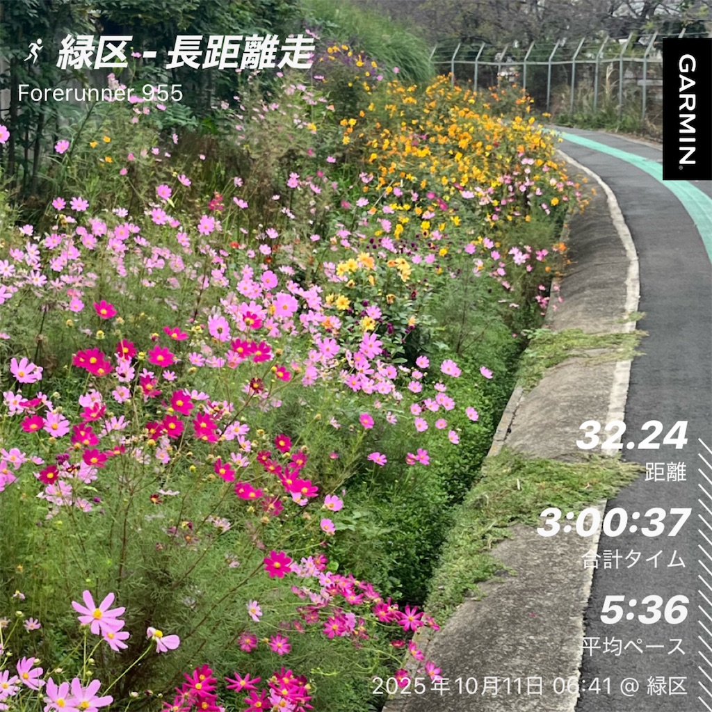 f:id:Genmai_17:20251011161425j:image