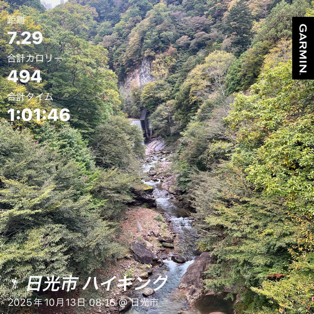 f:id:Genmai_17:20251016195312j:image